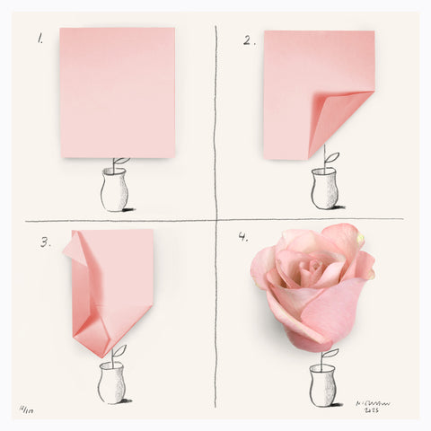 Sunday Sketch (A Rose is a Rose)