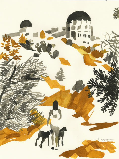 Hopes and Dreams Special