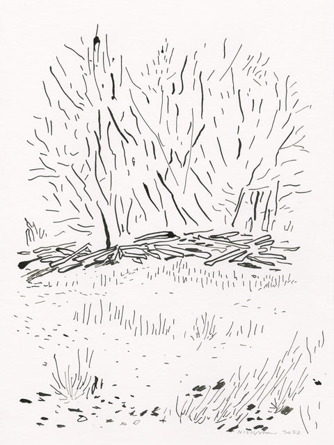 January Grove II