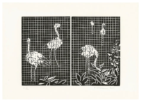Zoo (Complete Collection)