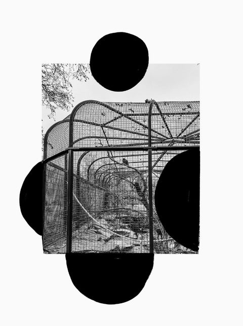 ZOO